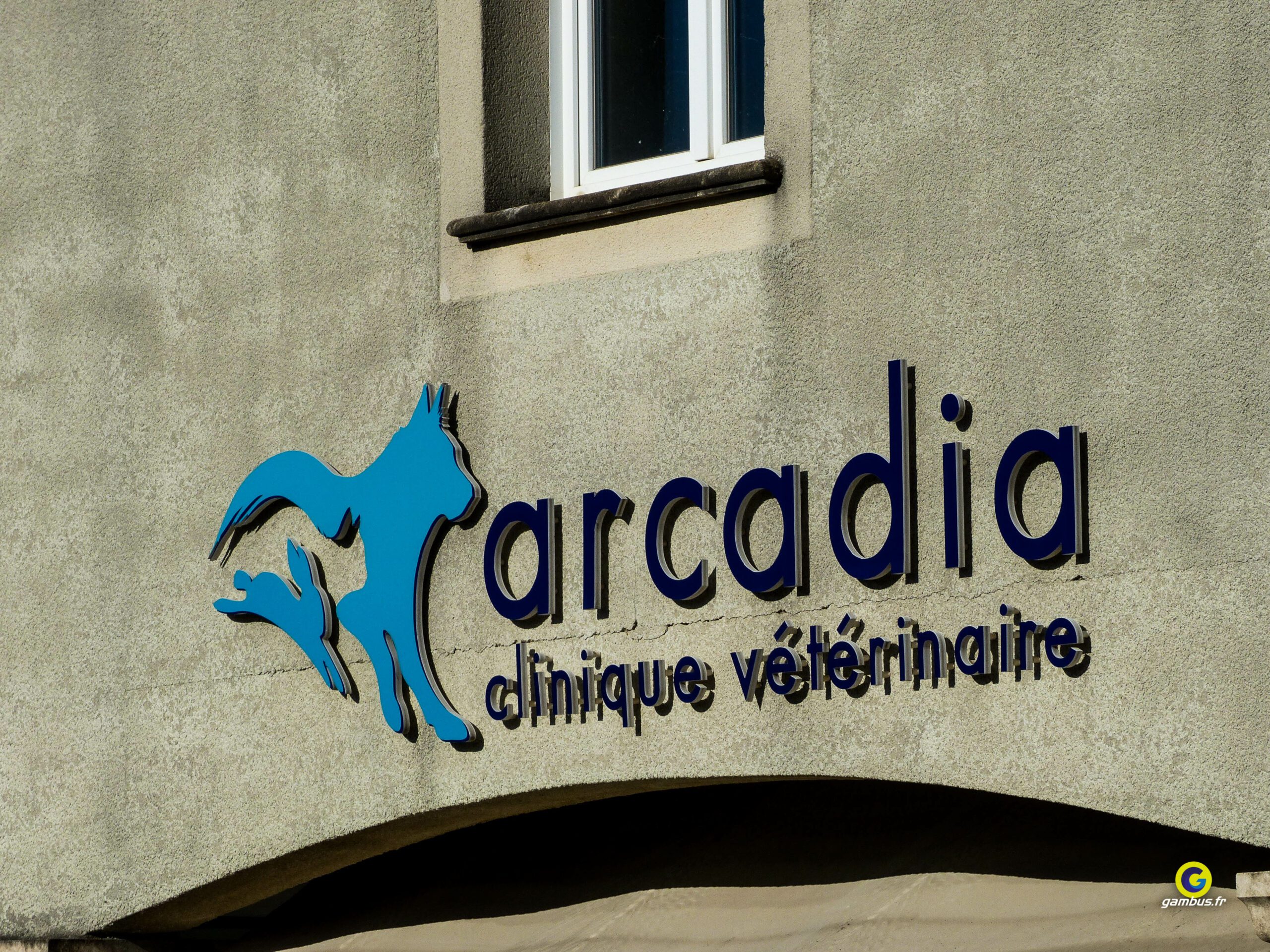 Enseignes Arcadia Veterinaire Salon De Provence Lettres Decoupees 2 Scaled, Gambus Enseignes