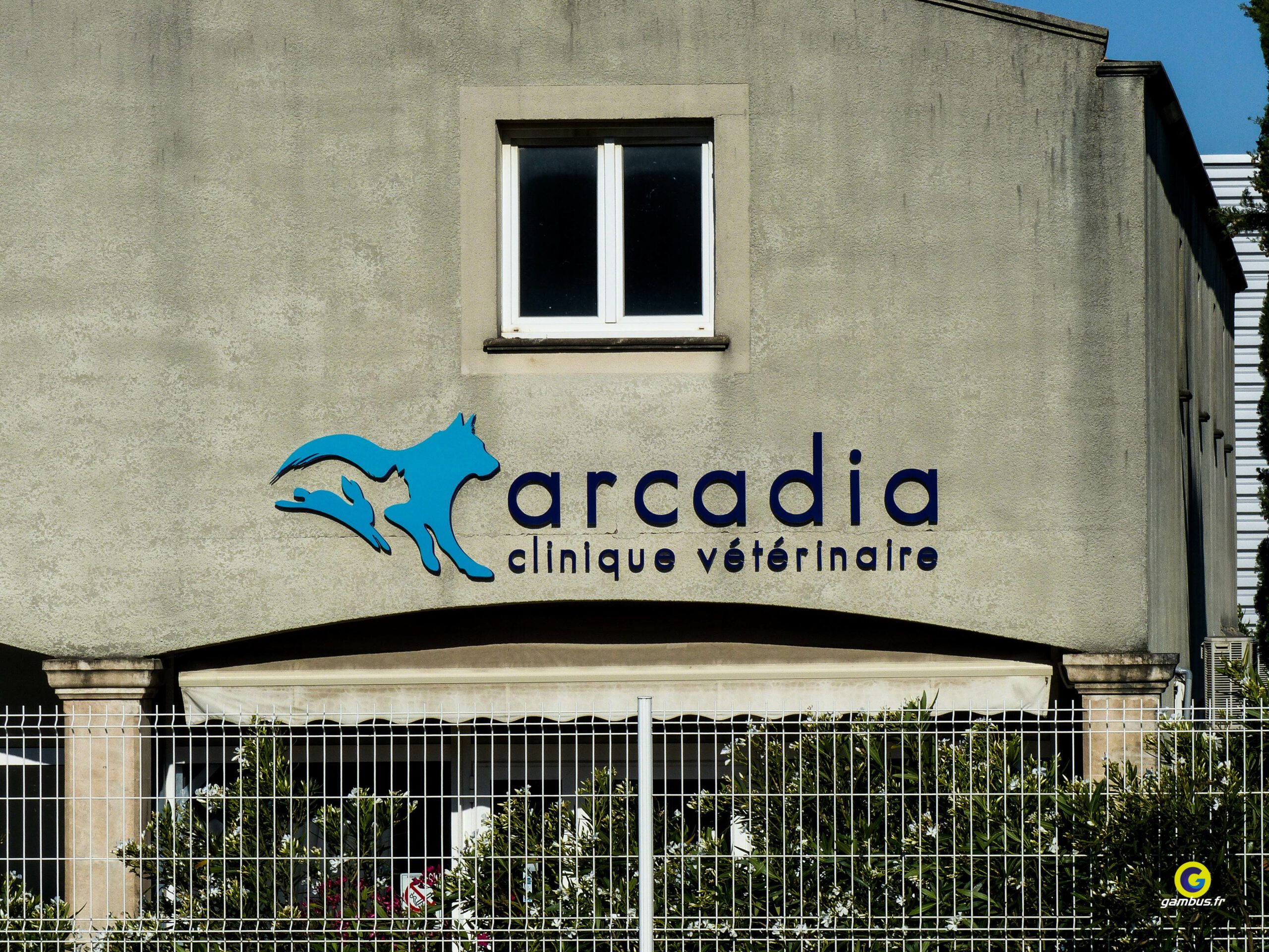 Enseignes Arcadia Veterinaire Salon De Provence Lettres Decoupees 4 Scaled, Gambus Enseignes