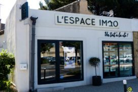 Enseignes Lespace Immo Cavaillon Bandeau Lettres Decoupees PVC LED Drapeau 1 272x182, Gambus Enseignes