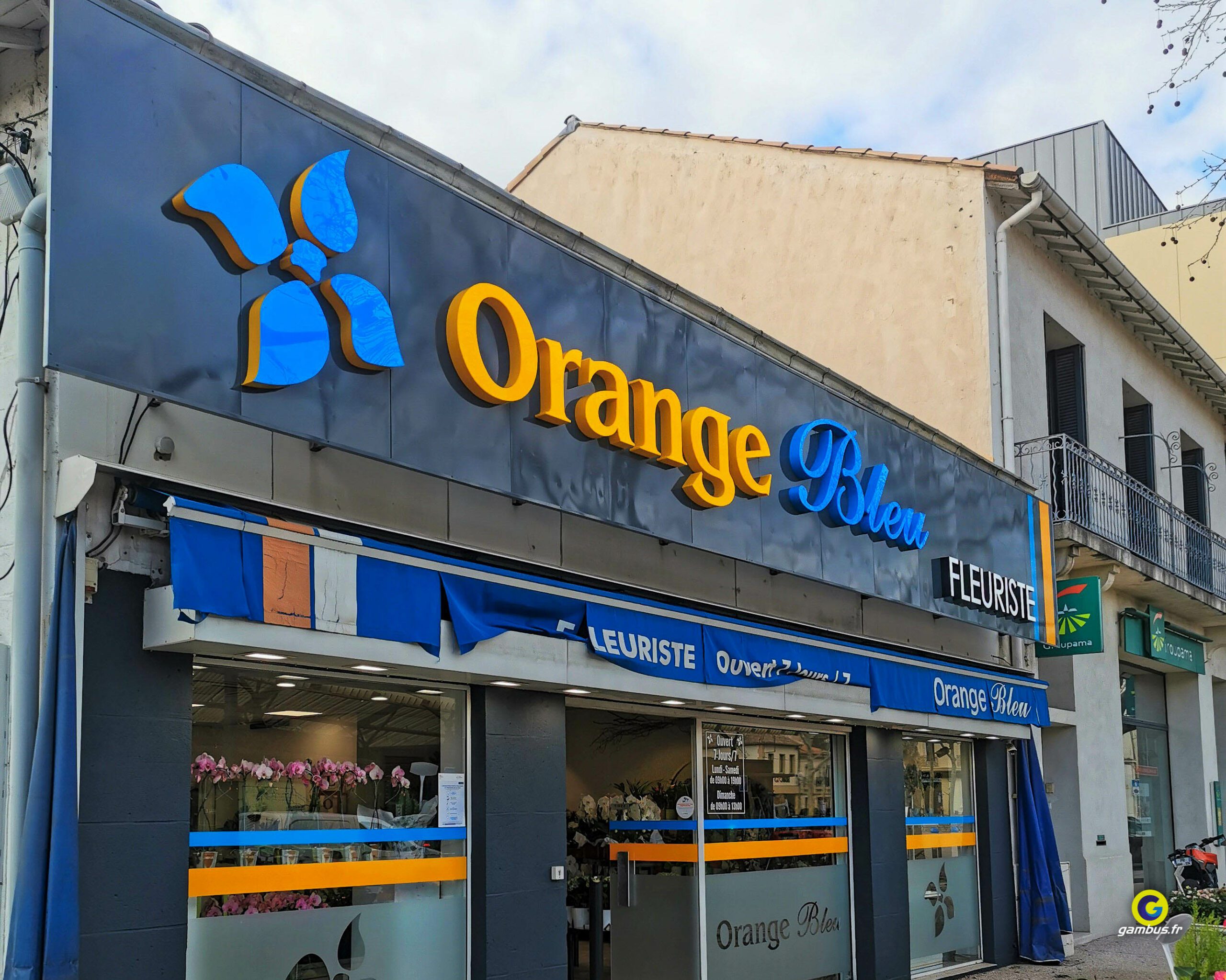 Enseignes Orange Bleu Fleuriste Salon De Provence 1 Scaled, Gambus Enseignes