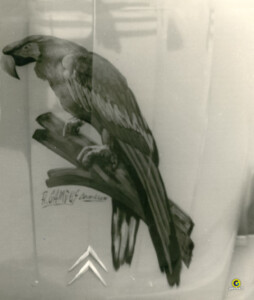 Archives Noir & Blanc, Gambus Enseignes Svg+xml,%3Csvg%20xmlns%3D%22http%3A%2F%2Fwww.w3, Gambus Enseignes