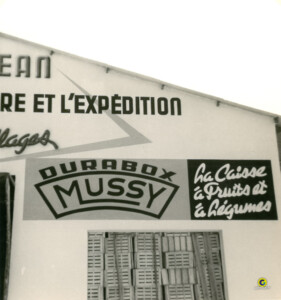 106206089, Gambus Enseignes